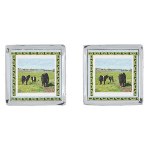 Galloway Cows Framed Cufflinks