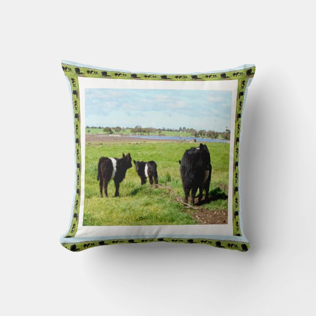 Galloway Cows Framed, Cushion (Front)