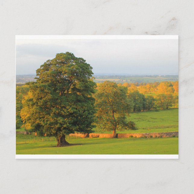 GALLOWS HILL POSTCARD (Front)
