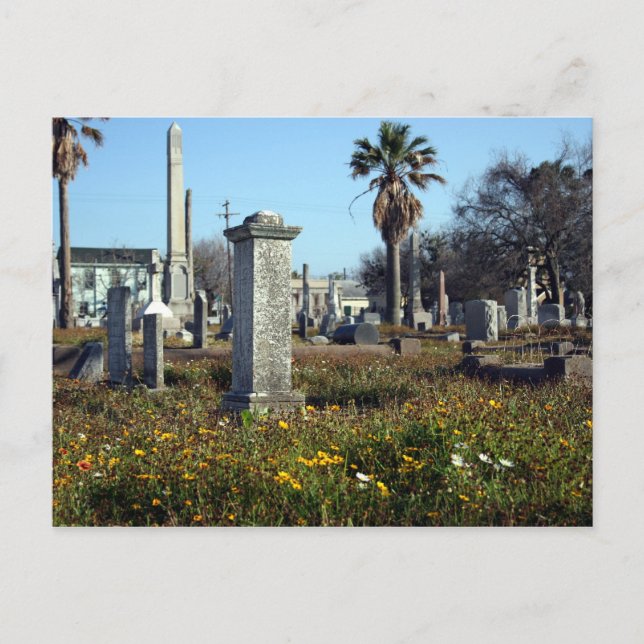 Galveston Graveyard Postcard (Front)