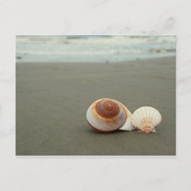 Galveston Island Postcard (Front)