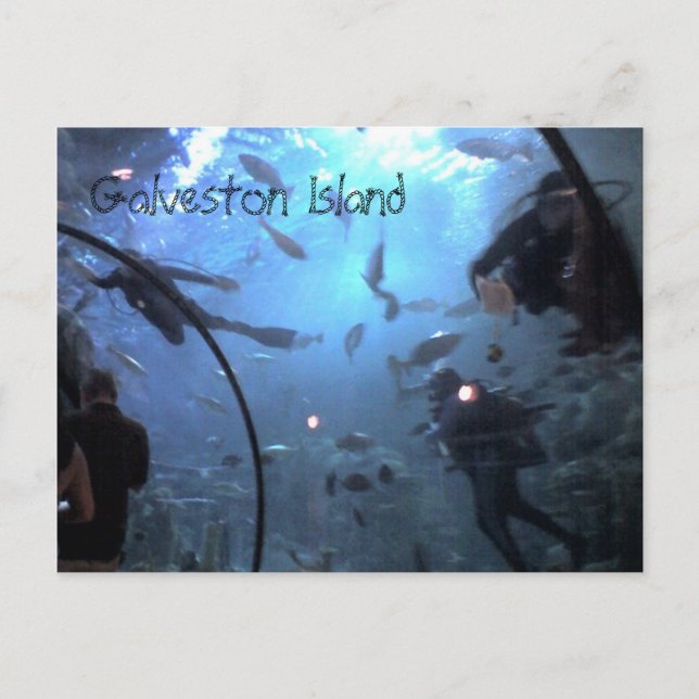 Galveston Island Postcard (Front)