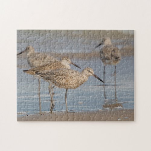 Galveston Island Texas Willet Jigsaw Puzzle