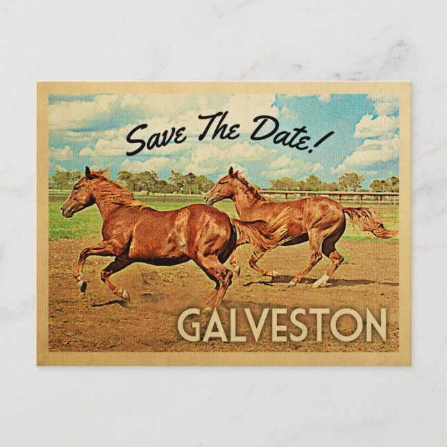 Galveston Texas Save The Date Horses Announcement Postcard (Front)