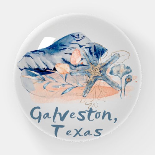 Galveston Texas Seashells  Paperweight