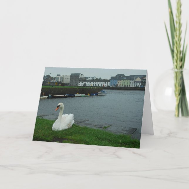 Galway Swan Note Card (Front)