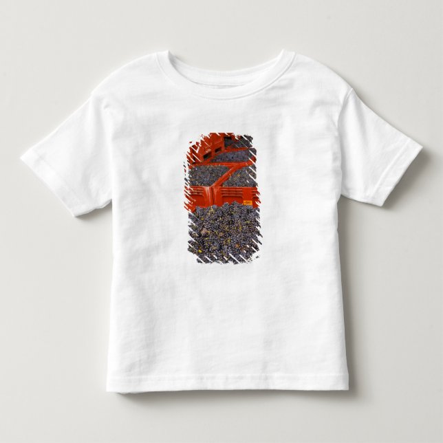 Gamay grapes just in from the harvest at the toddler t-shirt (Front)