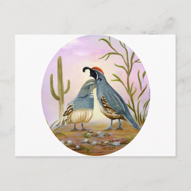 Gambel Quails Postcard (Front)