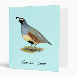 Gambel's Desert Quail 3 Ring Binder