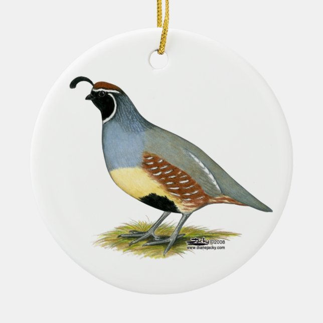 Gambel's Desert Quail Ceramic Ornament (Front)