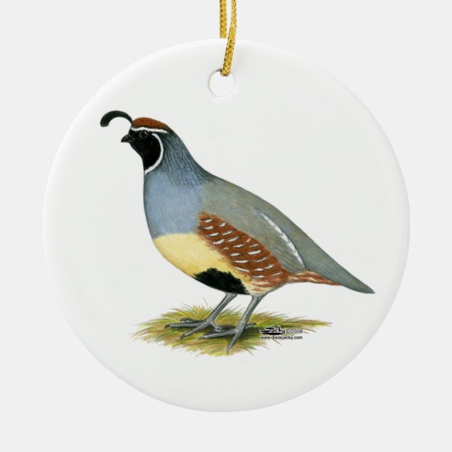 Gambel's Desert Quail Ceramic Ornament (Front)
