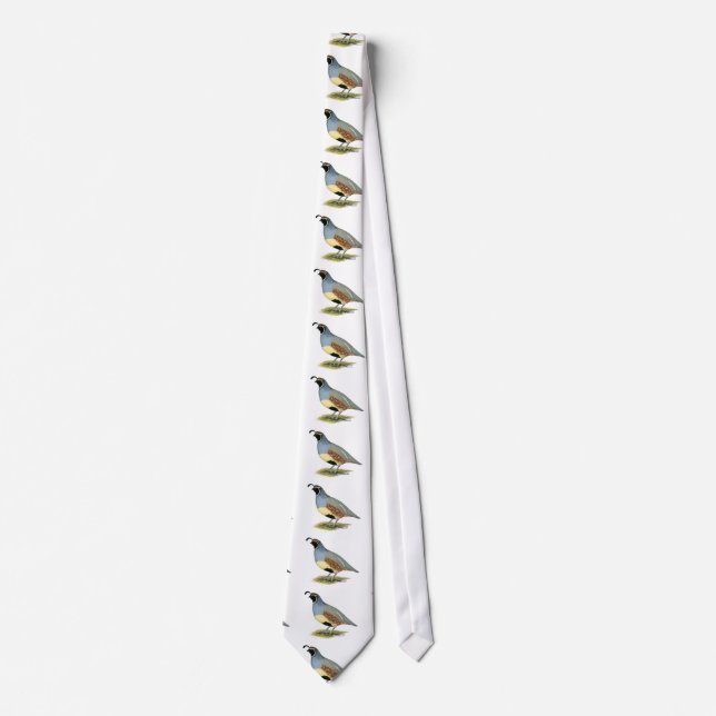 Gambel's Desert Quail Neck Tie (Front)