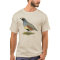 Gambel's Desert Quail