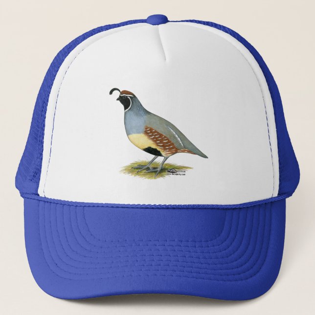 Gambel's Desert Quail Trucker Hat (Front)