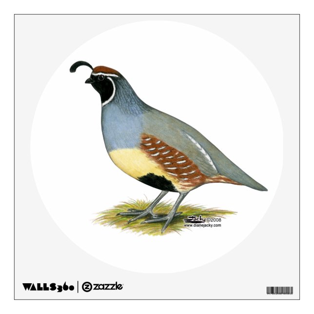 Gambel's Desert Quail Wall Sticker (Front)