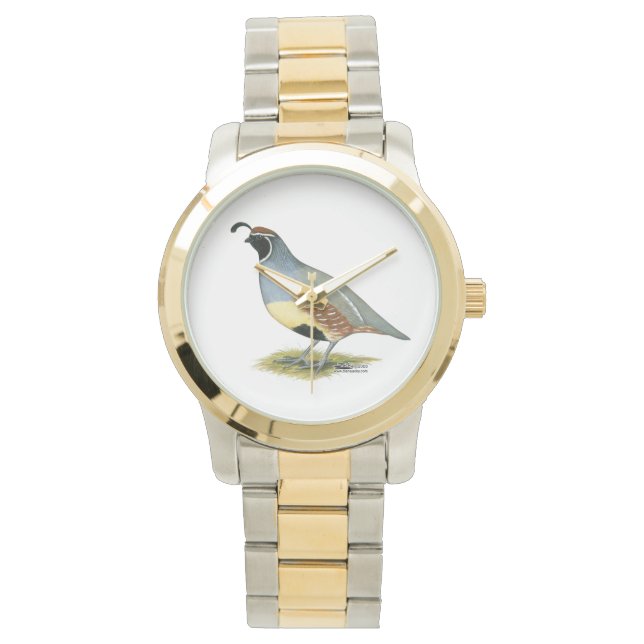Gambel's Desert Quail Watch (Front)