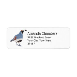 Gambel's Quail Bird Illustration Label