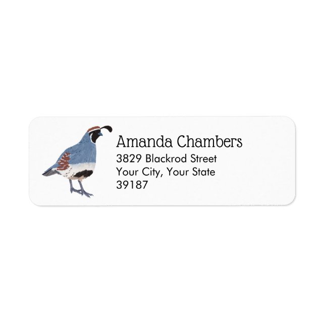 Gambel's Quail Bird Illustration Label (Front)