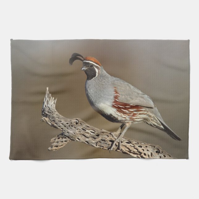 Gambel's Quail Kitchen Towel (Horizontal)