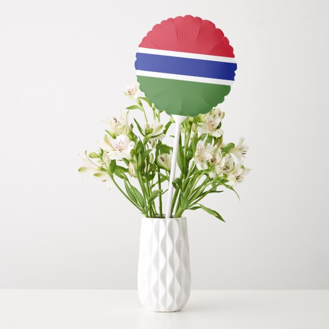 Gambia flag balloon (Vase)