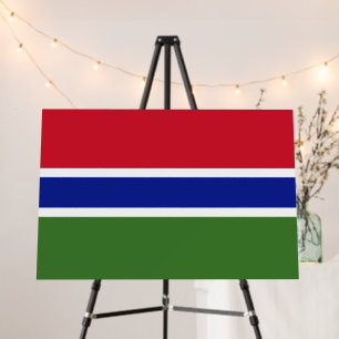 Gambia flag foam board