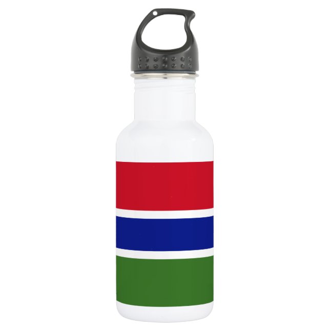 Gambia Flag Stainless Steel Water Bottle (Front)