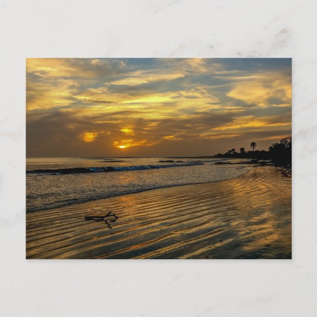 Gambia Sunset Postcard (Front)