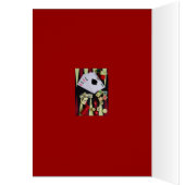gambler cards (Inside (Left))