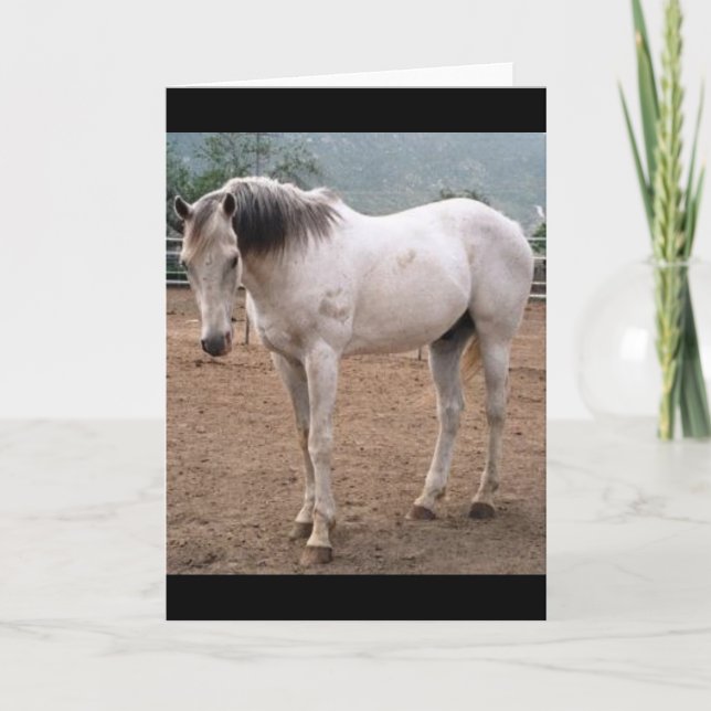 Gamblers Way Card (Front)