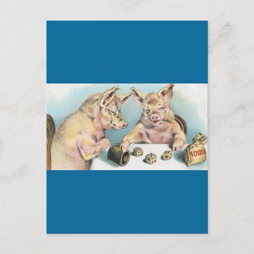 Gambling Pigs Postcard