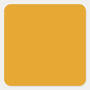 Gamboge Orange / Yellow E49B0F Color, Image Option Square Sticker