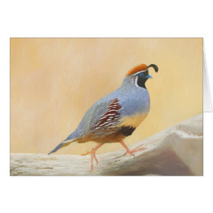 Gambrel's Quail Painting Original Bird Art Cards
