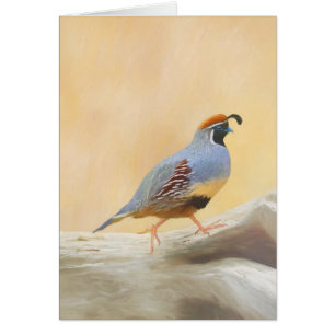 Gambrel's Quail Painting Original Bird Art Cards