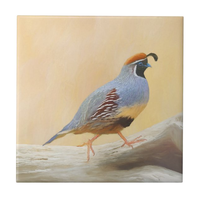 Gambrel's Quail Painting Original Bird Art Ceramic Tile (Front)