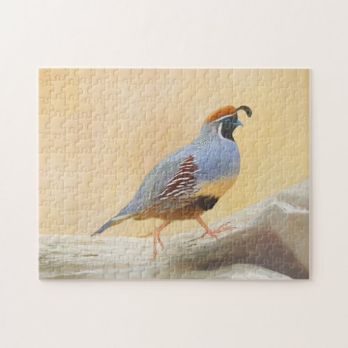 Gambrels Quail Painting Original Bird Art Jigsaw Puzzle