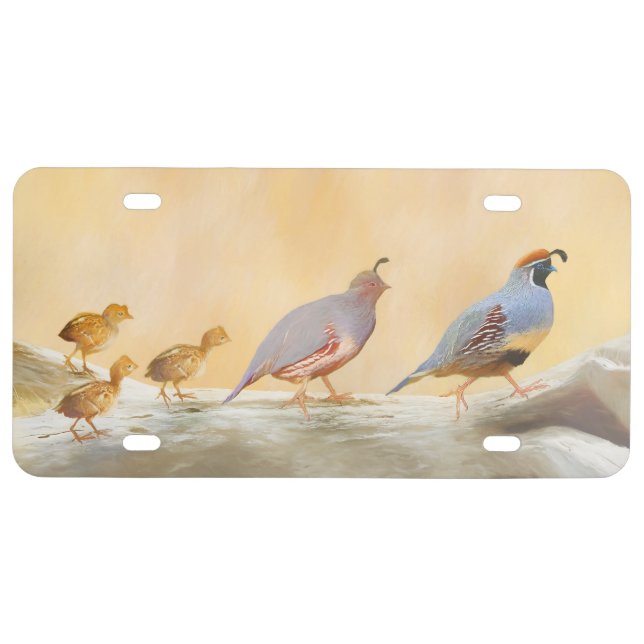 Gambrel's Quail Painting Original Bird Art License Plate (Front)