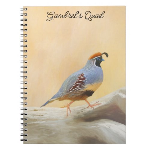 Gambrels Quail Painting Original Bird Art Notebook