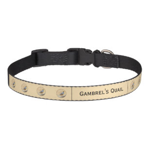 Gambrel's Quail Painting Original Bird Art Pet Col Collar