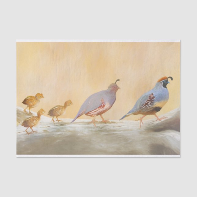 Gambrel's Quail Painting Original Bird Art Tissue Paper (Front)