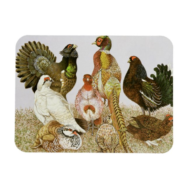 Game Birds Magnet (Horizontal)