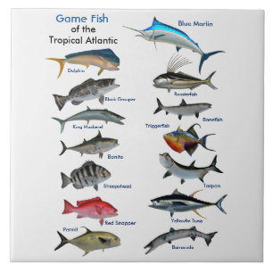Game Fish of the Tropical Atlantic poster Ceramic Tile