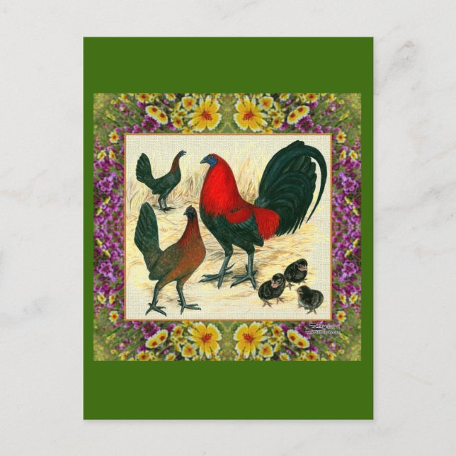 Game Fowl Flowered Frame Postcard (Front)