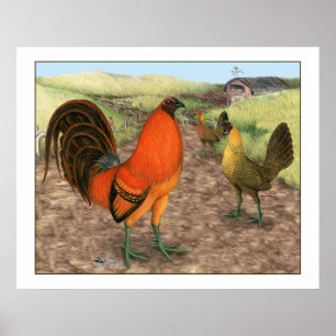 Game Fowl on the Farm Poster