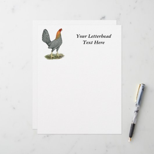 Game Hen Blue Red (Front/Back In Situ)