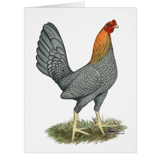 Game Hen Blue Red Cards (Front)