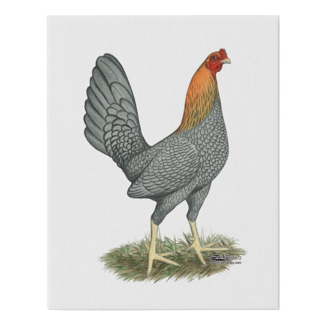 Game Hen Blue Red Faux Canvas Print (Front)
