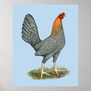 Game Hen Blue Red Poster
