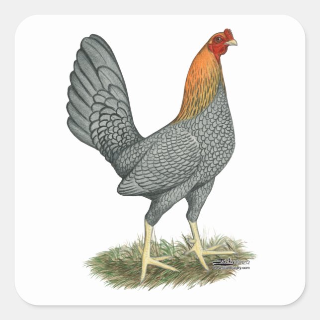 Game Hen Blue Red Square Sticker (Front)