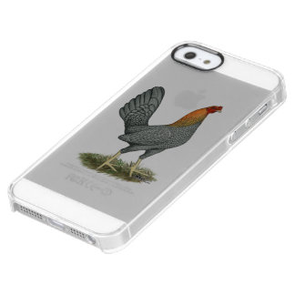 Game Hen Blue Red Clear iPhone SE/5/5s Case