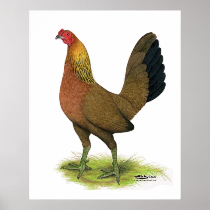 Game Hen  Pea combed Poster